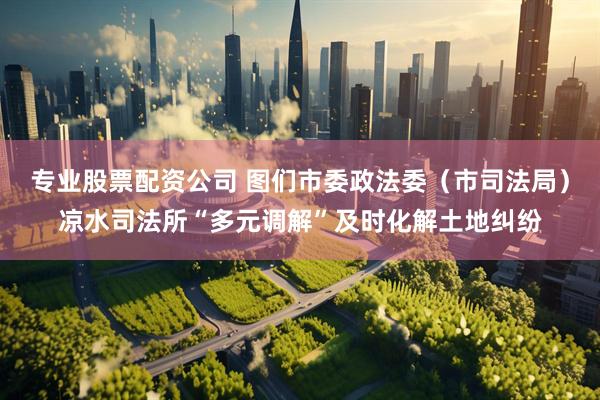 专业股票配资公司 图们市委政法委（市司法局）凉水司法所“多元调解”及时化解土地纠纷