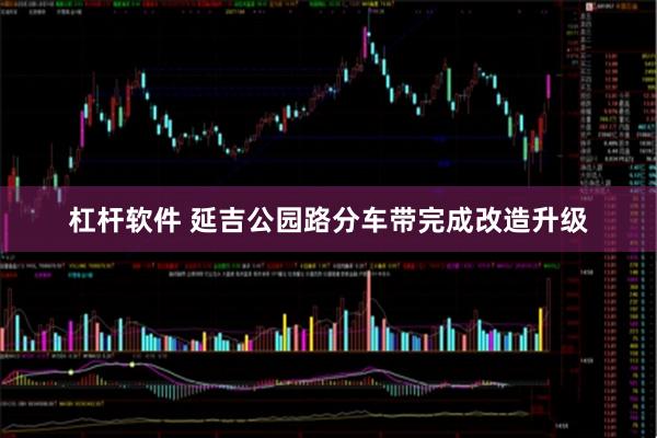 杠杆软件 延吉公园路分车带完成改造升级