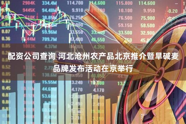 配资公司查询 河北沧州农产品北京推介暨旱碱麦品牌发布活动在京举行