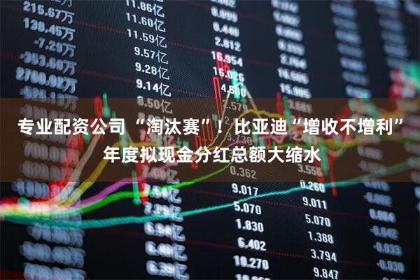专业配资公司 “淘汰赛”！比亚迪“增收不增利” 年度拟现金分红总额大缩水